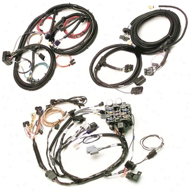 Wiring Harness Kit-fwctory Style-painless Performance-complete