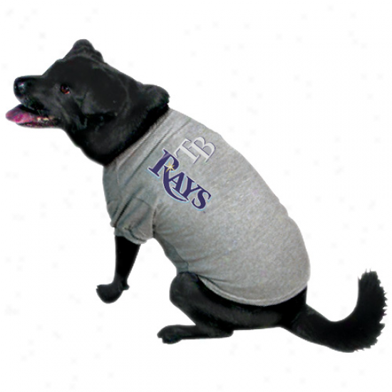 Tampa Bay Rays Ash Logo Pet T-shirt