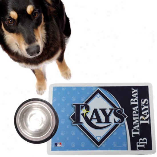 Tampa Bay Rays Light Blue Pet Mat