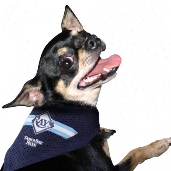 Tampa Bay Rays Navy Blue Small Pet Bandana