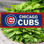 Chicago Cubs 12.5'' X 4.5'' Garden Symbol