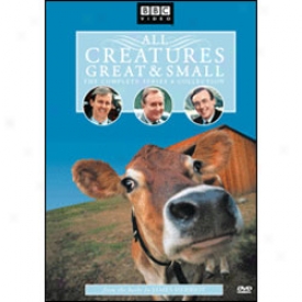 All Creatures Great And Small Series 4 Dvd