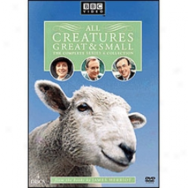 All Creatures Great And Small Series 6 Dvd