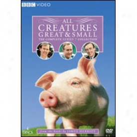 All Creatures Great And Small Series 7 Dvd