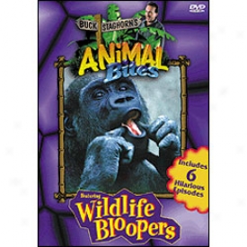 Buck Staghorn Animal Bites Dvd