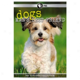 Dogs: Man's Best Friend Dvd