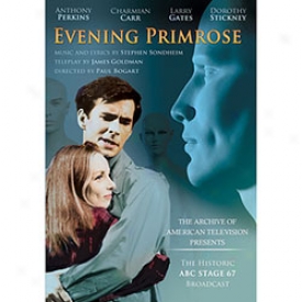 Evening Primrose Dvd