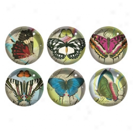 Glass Butterfly Magnets Set