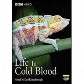 Life In Cold Blood Dvd