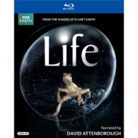 Life Narrated By Sir David Attenborough Dvd Or Blu-ray