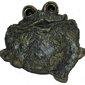 Motion-activted Croaking And Whistling Toads Whistling