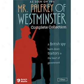 Mr Palfrey Of Westminster Dvd