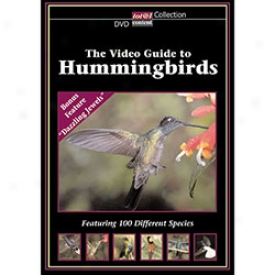 The Video Guide To Hummingbirds Dvd