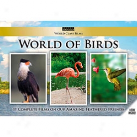 World Of Birds Dvd