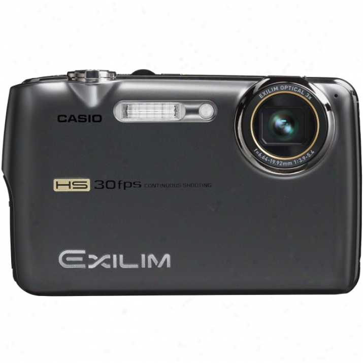 Casio Exilim Ex-fs10 Point & Shoot Digital Camera - Graay