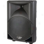 Pylepro Pphp151 Speaker