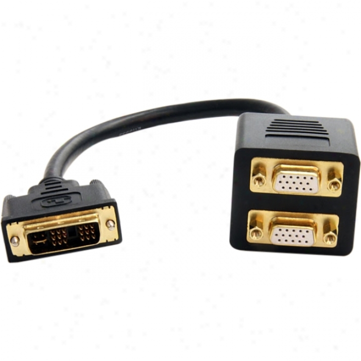 Startech.com 1 Ft Dvi-i Analo gTo 2x Vga Video Splitter Cable