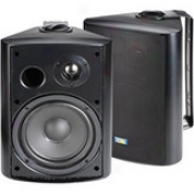 Tic Asp120b Indoor/outdoor Speakers