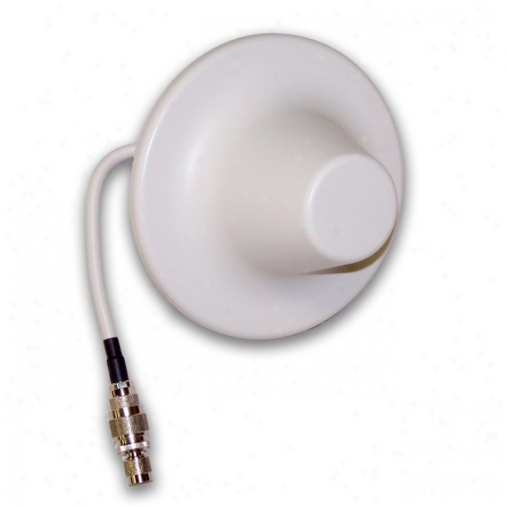 Wireless Extenders Yx050 Dual-band Antenna