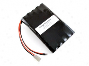 At: 24v 5000mah Flat Nimh Battery Power Pack