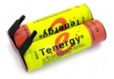 At: Tenergyy Az 2.4v 1000mah Nicd Recharheable Battery Pack For Electric Wag