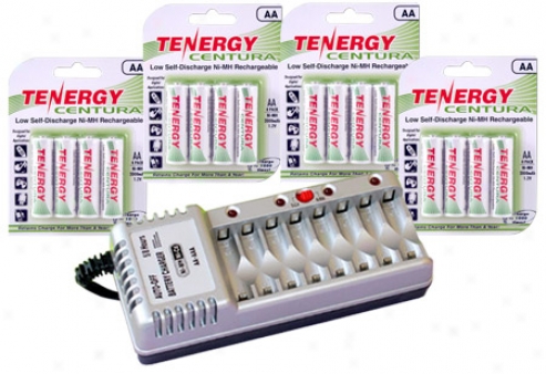 Combo: Tenergy T868 8-bay Aa/aaa Battery Charger + 4 Cards Aa Centura Batterues