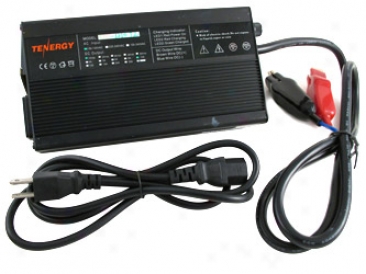 Tenergy 12v 10a Lifepo4 Battery Charger