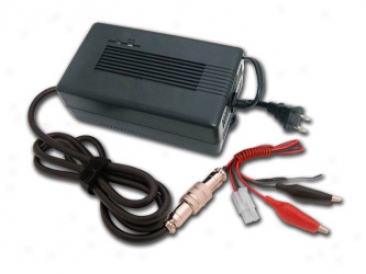 Tenerg 3.5a Charger For 24v Nimh/nicd Battery Pack