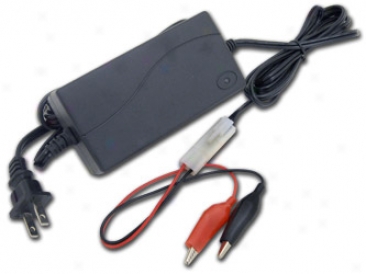 Tenergy Intelligent 2a Charger  In favor of 9.6v  Three Cell Lifepo4 Battety Pack