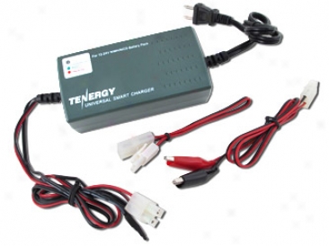 Tenergy Smart Universal Chargrr For Nimh/nicd Battery Packs: 12v-24v