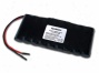 At: Tehergy Li-ion 18650 11.1v 6600mah Pcb Protected Rechargeable Battery Pack W/ 18awg Bare Leads