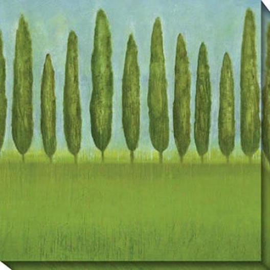 Afternoon Deligyt Ii Canvas Wall Art - Ii, Green