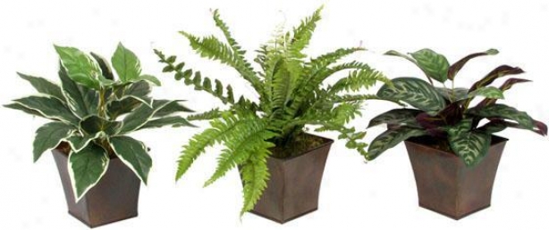 Assorted Foliage In Metal Planter - Set Of 3 - Set Of 3, Green