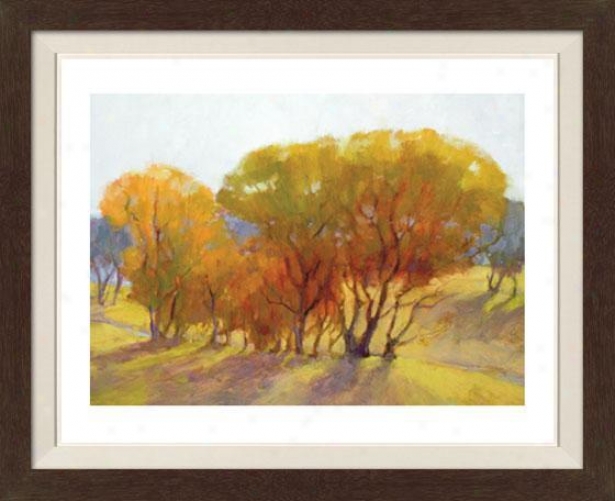 Autumn Day Ii Framed Wall Art - Ii, Fltd Espresso