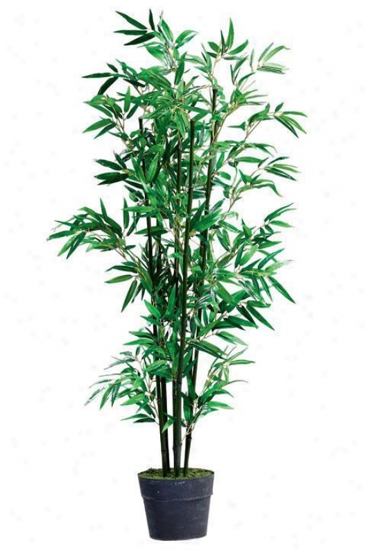 "bamboo Topiary With Tin Basis - 84""h, Dark"