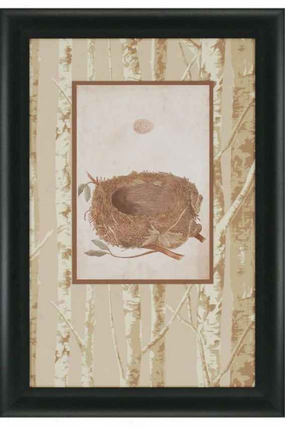 Birds Nest Study I Wall Art - Ii, Ivory