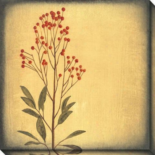 Botanica I Canvas Wall Art - I, Ivory