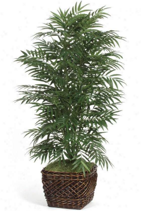 "botanica Phoenix Palm - 60""h, Green"