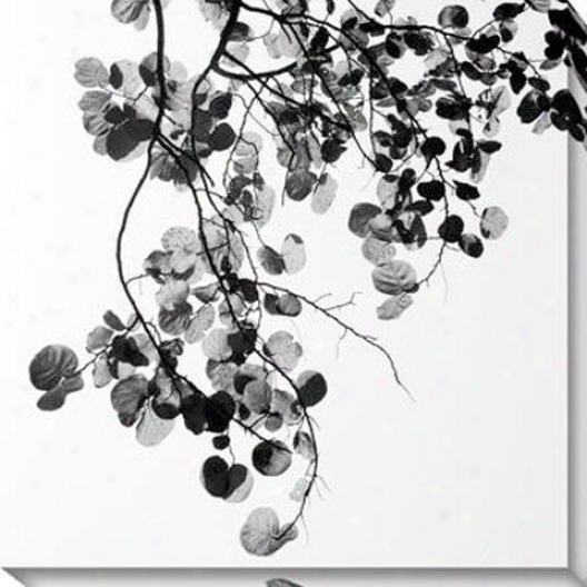 "bougainvillea Canvas Wall Art - 40""hx40""w, Black"