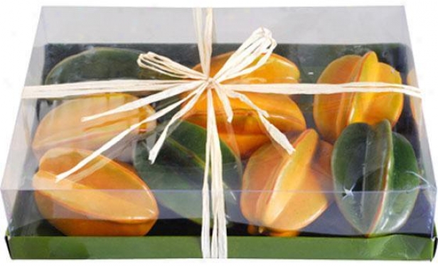 Boxed Fruit - Set Of 9 - 9 Part, Star Fruit