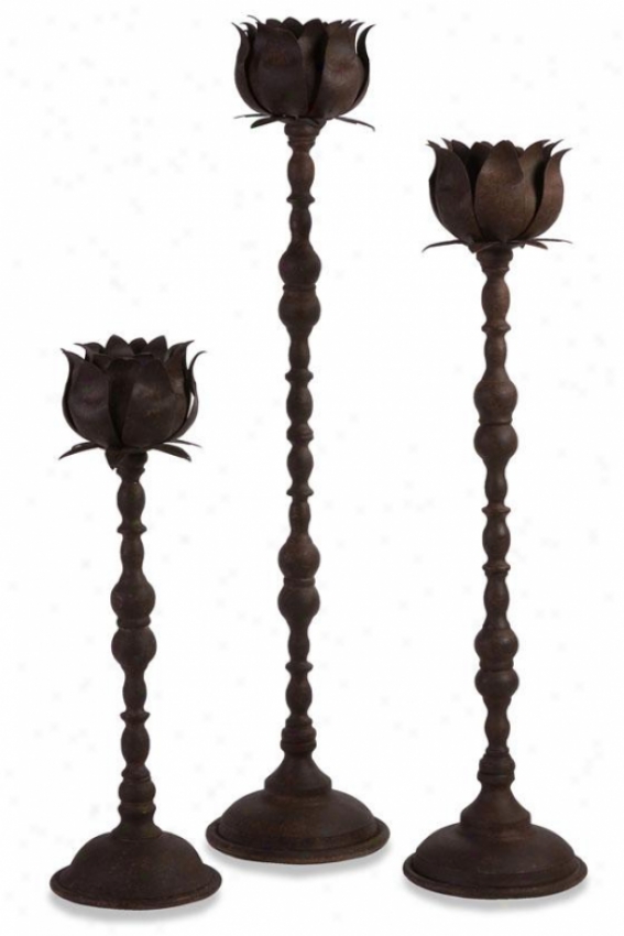 Budded Votive Holders - Set Of 3 - Set Of Three, Brown