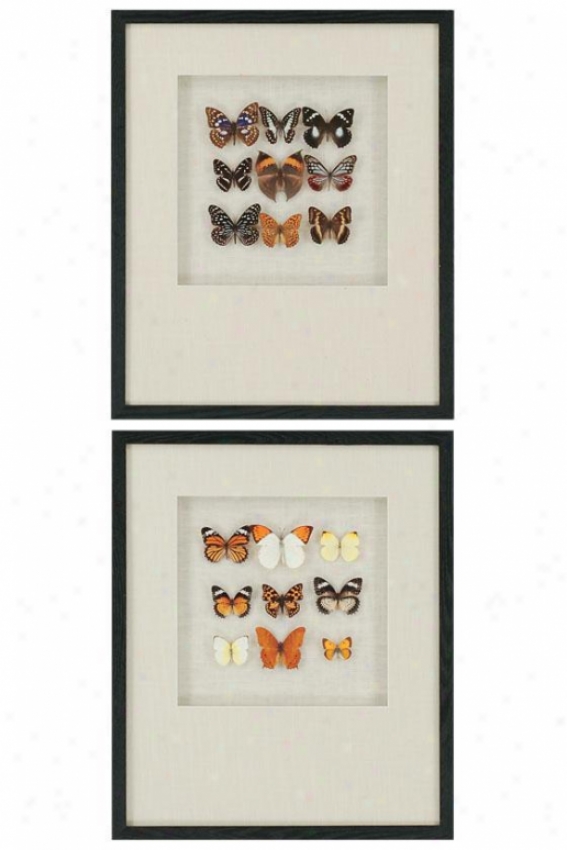 "butterfy Study Wall Art - Set Of 2 - 24""hx20""w, Beige"