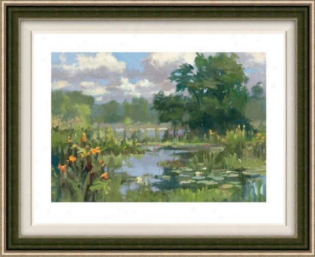 "canna Lillies Framed Wall Art - 32""hx36""w, Floated Silver"