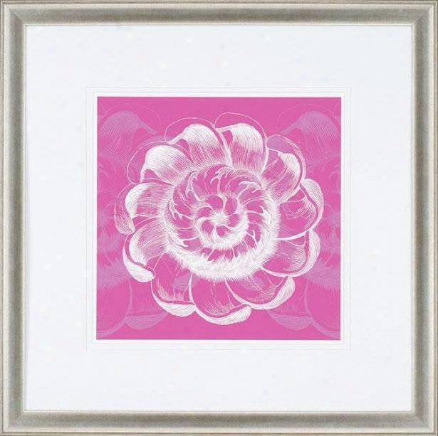 Chromatic Rosette Wall Skill - I, Pink