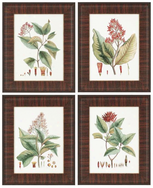 "crimqon Botanical Wall Art - Set Of 4 - 21""hx17""w, Red"