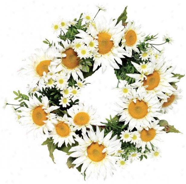 "daisy Wreath - 24""d, Whtie"