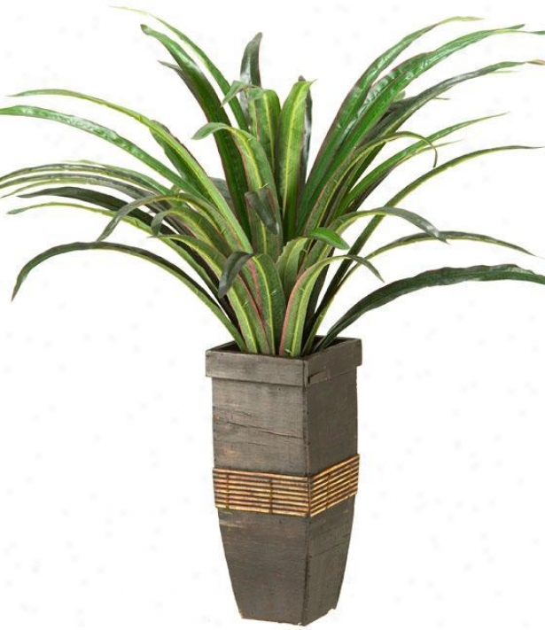 "dracaean In Square Wooden Planter - 24""hx20""w, Green"