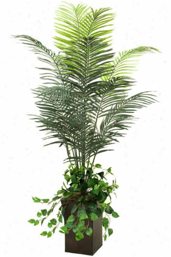 "dwarf Arceca Palm In Square Metal Planter - 74""h, Green"