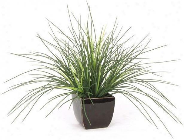 "expo Crane Grass - 17""hx20""d, Green"