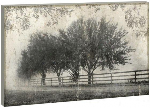 Farmside Fine part Wall Art - 36hx54wx1.5d, Black